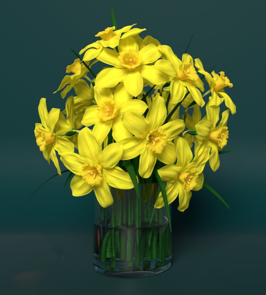 Rush Daffodil (Narcissus jonquilla, ÃÂ¼onkil) preview image 2